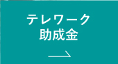人材確保等支援助成金